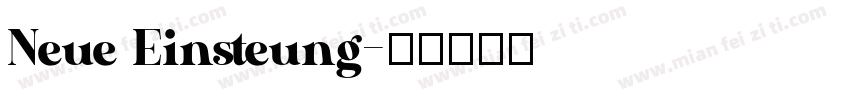 Neue Einsteung字体转换